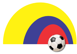REGLAMENTAO CAMPEONATO NACIONAL FEMENINO JUVENIL 2019 CLASIFICACIÓN PARA LA REALIZACIÓN DE LOS XXXI JUEGOS DEPORTIVOS NACIONALES 2019